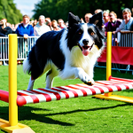 반려동물 페스티벌 후기 - "A vibrant pet festival scene, showcasing an agility competition with a border collie expertly navig...